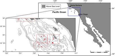 Epifaunal Foraminifera in an Infaunal World: Insights Into the Influence of Heterogeneity on the Benthic Ecology of Oxygen-Poor, Deep-Sea Habitats